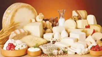 قائمة أسعار سوهاج.. تحديث جديد لتكلفة الألبان والبقوليات والبيض في الأسواق اليوم